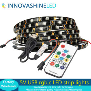 5V USB rgbic LED strip lights dream color ws2812 built in pixel led tape with remote controller kit for holiday indoor outdoor tv backlight decoration